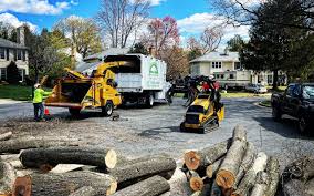 Best Tree Risk Assessment  in Fruitridge Pocket, CA